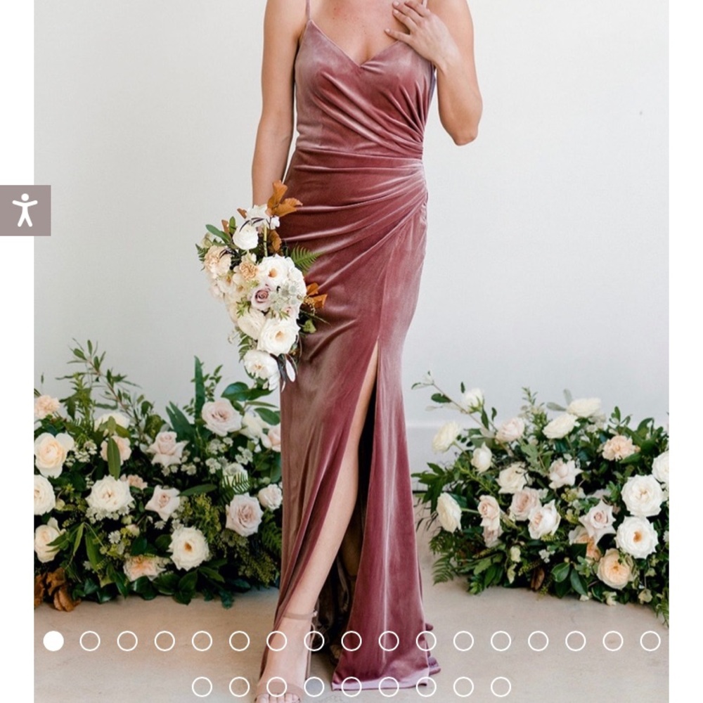 COPY - NWT Revelry Size 2 Velvet Gown in Black